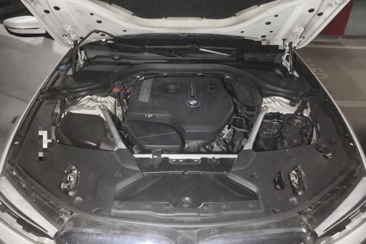 Used BMW 5 Series 2020 530Li Leading Edition Luxury Package Engine Bay