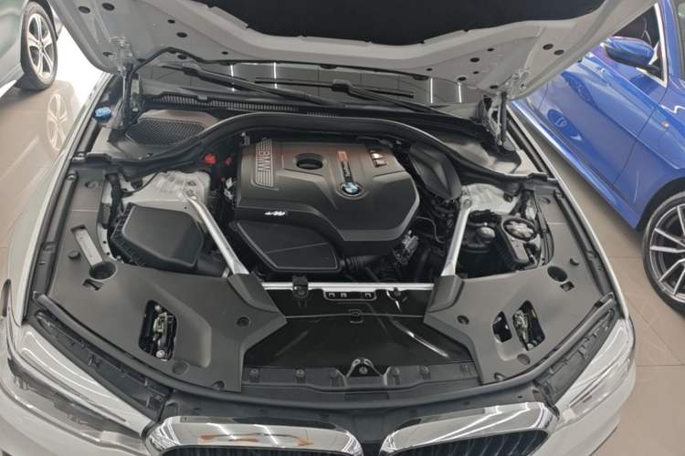 Used BMW 5 Series 2020 530Li Leading Model M Sport Package Engine Bay