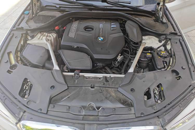 Used BMW 5 Series 2020 530Li Leading Model M Sport Package Engine Bay