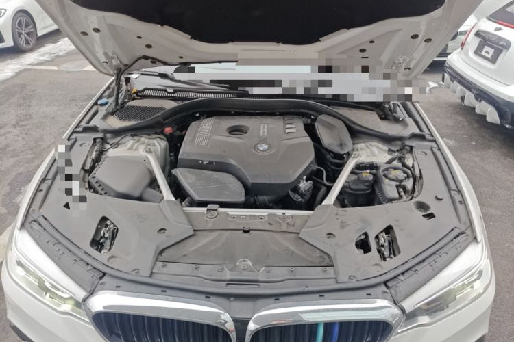 Used BMW 5 Series 2020 530Li Luxury Edition M Sport Package Engine Bay