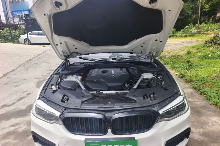 Used BMW 5 Series 2020 530Li Luxury Edition M Sport Package Engine Bay