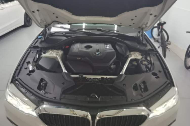 Used BMW 5 Series 2020 530Li xDrive M Sport Package Engine Bay