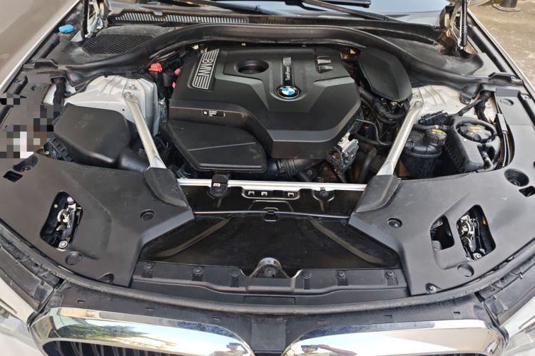 Used BMW 5 Series 2020 530Li xDrive M Sport Package Engine Bay