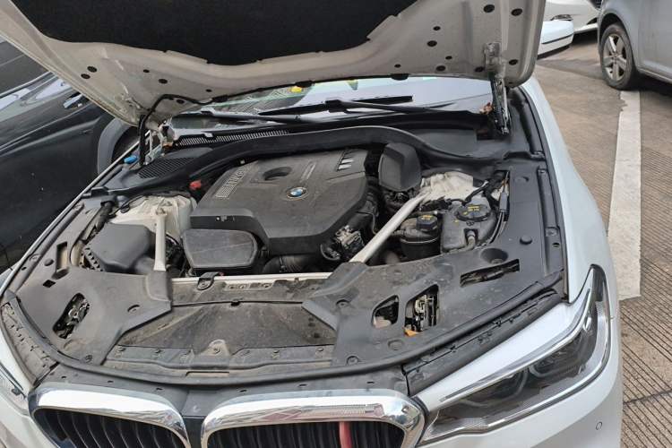 Used BMW 5 Series 2020 530Li Leading Model M Sport Package Engine Bay