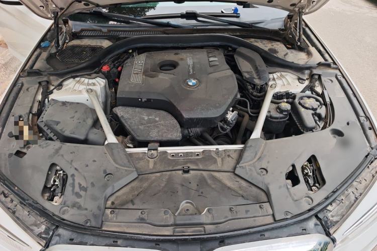 Used BMW 5 Series 2020 530Li Leading Model M Sport Package Engine Bay
