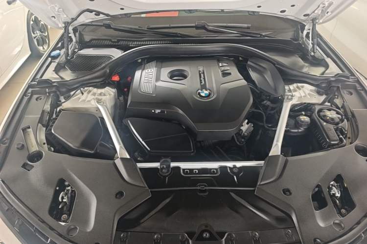 Used BMW 5 Series 2020 530Li Luxury Edition M Sport Package Engine Bay