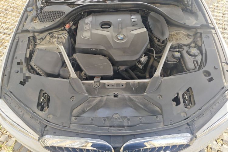 Used BMW 5 Series 2020 530Li xDrive Luxury Package Engine Bay
