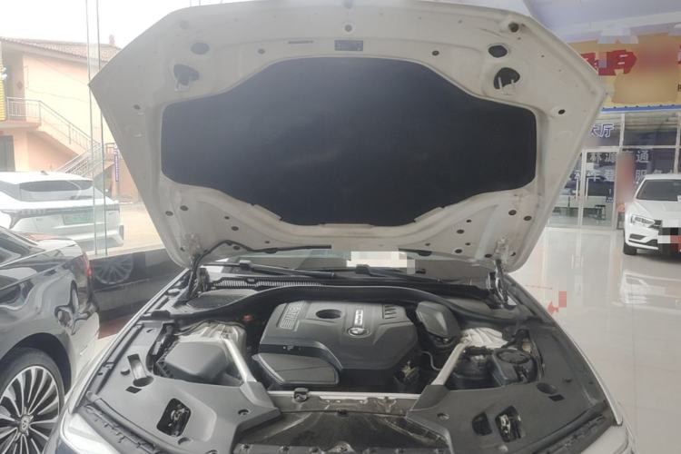 Used BMW 5 Series 2020 530Li Leading Edition Luxury Package Engine Bay