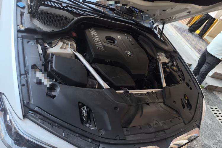 Used BMW 5 Series 2020 530Li Luxury Edition Premium Package Engine Bay