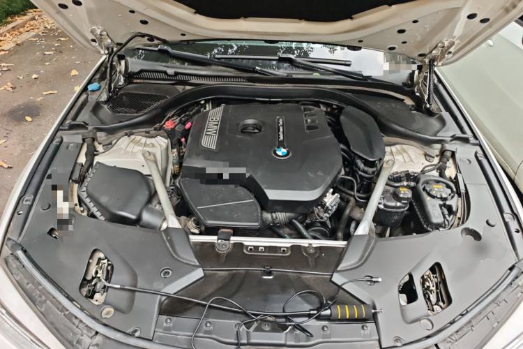 Used BMW 5 Series 2020 530Li Luxury Edition M Sport Package Engine Bay