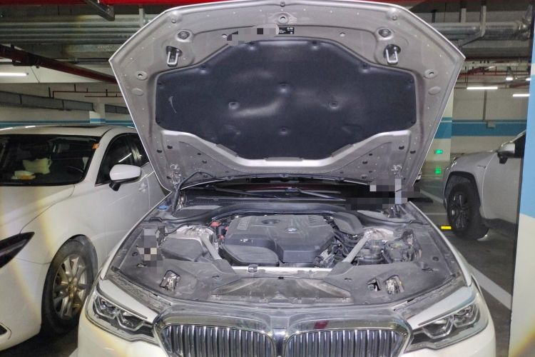 Used BMW 5 Series 2020 530Li Luxury Edition Premium Package Engine Bay