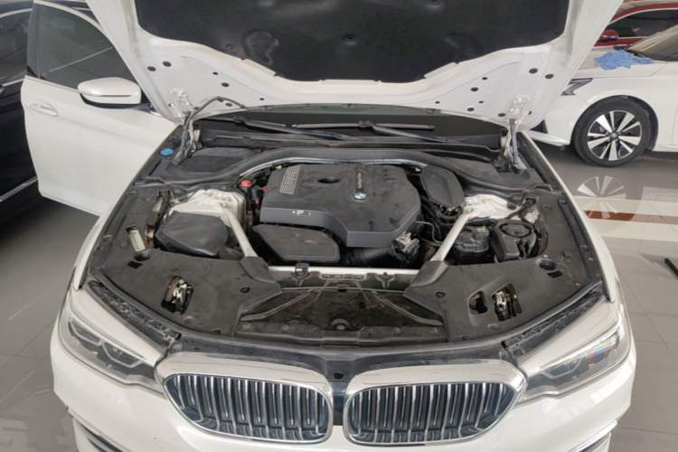 Used BMW 5 Series 2020 530Li Leading Edition Luxury Package Engine Bay