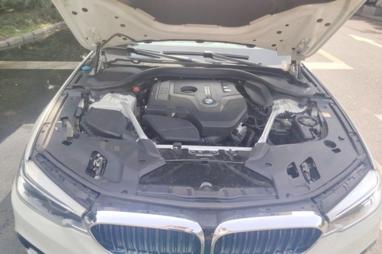 Used BMW 5 Series 2020 530Li Leading Model M Sport Package Engine Bay