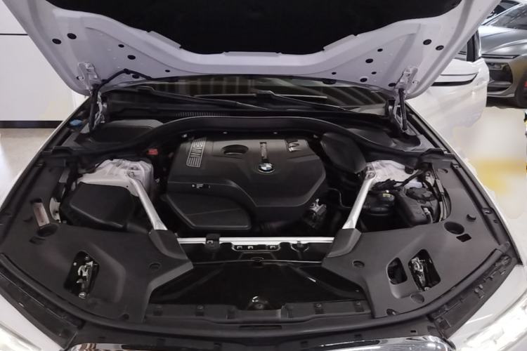 Used BMW 5 Series 2020 530Li Leading Model M Sport Package Engine Bay