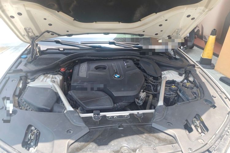 Used BMW 5 Series 2020 530Li Executive Luxury Package Engine Bay