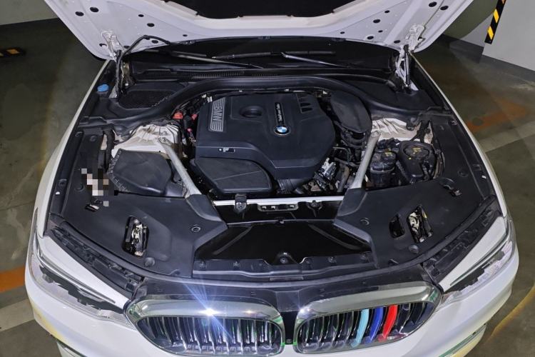 Used BMW 5 Series 2020 530Li xDrive Luxury Package Engine Bay