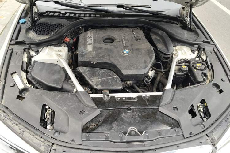 Used BMW 5 Series 2020 530Li Luxury Edition M Sport Package Engine Bay