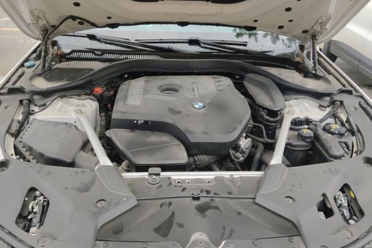 Used BMW 5 Series 2020 530Li Luxury Edition Premium Package Engine Bay
