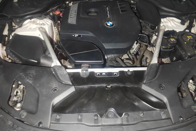 Used BMW 5 Series 2020 530Li Leading Edition Luxury Package Engine Bay