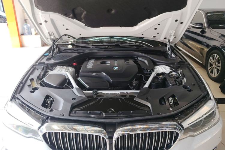 Used BMW 5 Series 2020 530Li Leading Edition Luxury Package Engine Bay