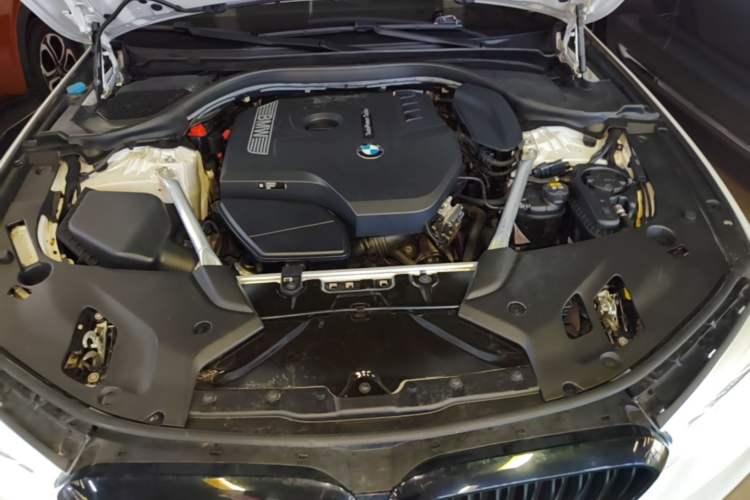Used BMW 5 Series 2020 530Li Leading Model M Sport Package Engine Bay