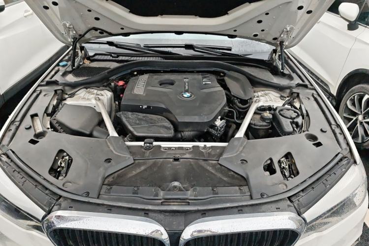 Used BMW 5 Series 2020 525Li M Sport Package Engine Bay