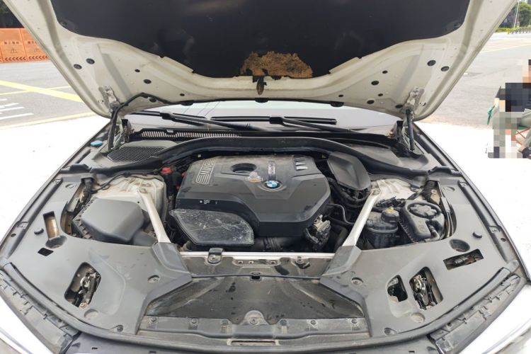 Used BMW 5 Series 2020 530Li Leading Edition Luxury Package Engine Bay