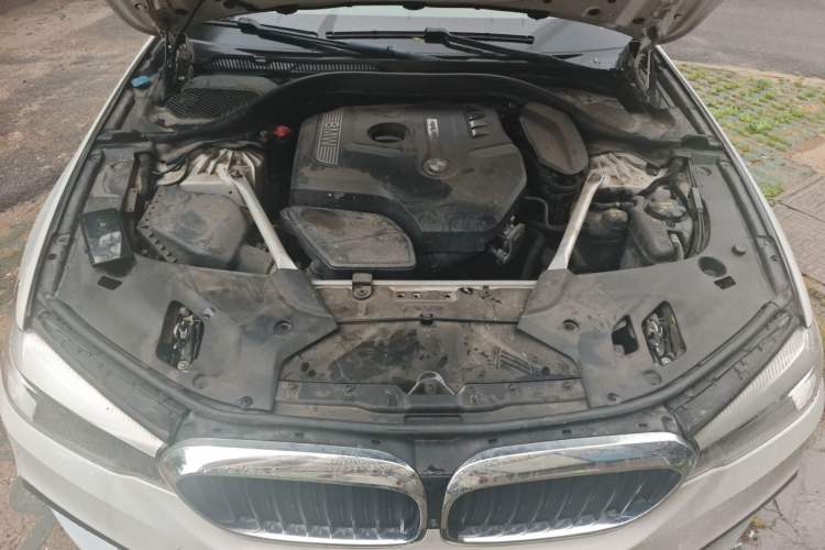 Used BMW 5 Series 2020 525Li M Sport Package Engine Bay