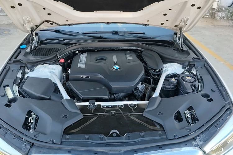 Used BMW 5 Series 2020 530Li Leading Edition Luxury Package Engine Bay