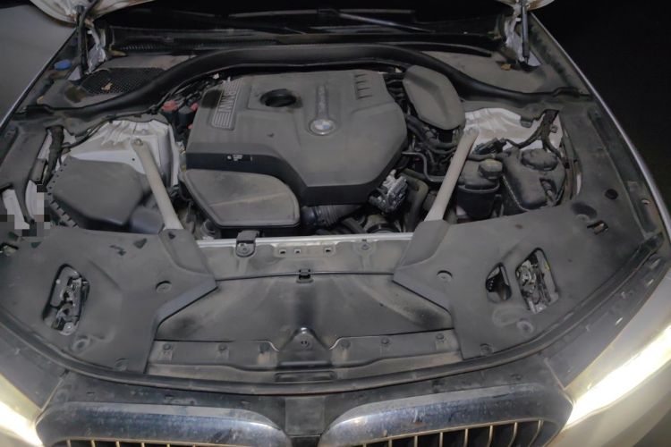 Used BMW 5 Series 2020 530Li Luxury Edition Premium Package Engine Bay