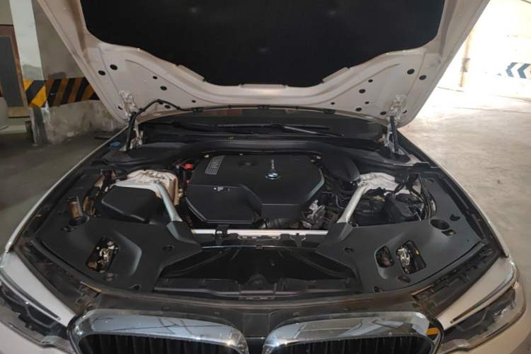 Used BMW 5 Series 2020 530Li Leading Model M Sport Package Engine Bay