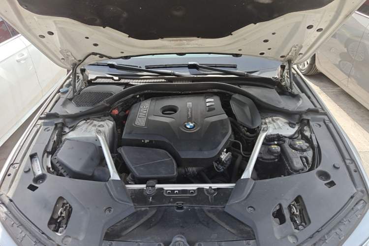 Used BMW 5 Series 2020 530Li xDrive Luxury Package Engine Bay