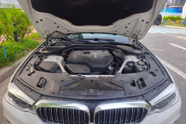 Used BMW 5 Series 2020 530Li xDrive Luxury Package Engine Bay