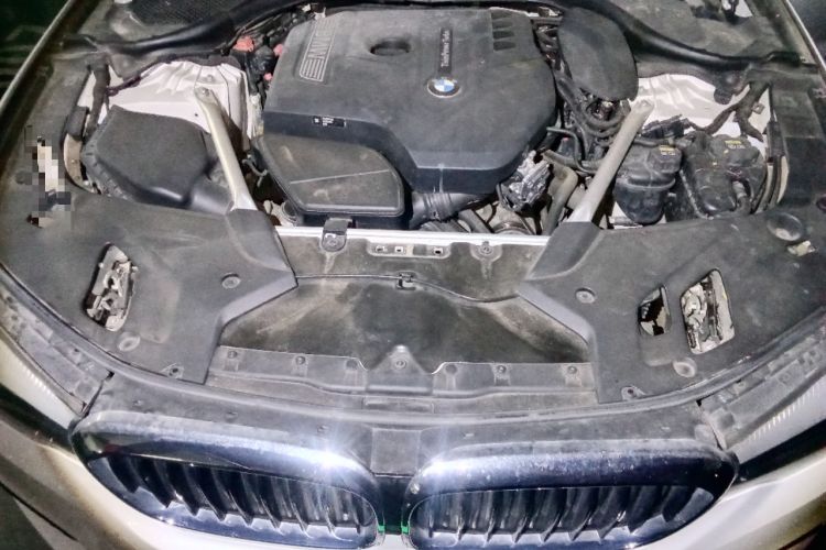 Used BMW 5 Series 2020 525Li M Sport Package Engine Bay