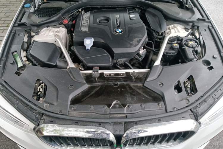 Used BMW 5 Series 2020 530Li Luxury Edition M Sport Package Engine Bay