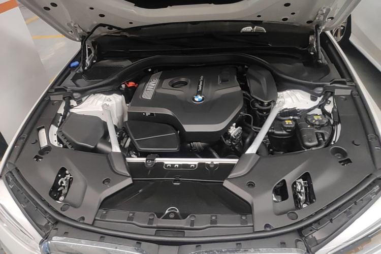 Used BMW 5 Series 2020 530Li Luxury Edition Premium Package Engine Bay