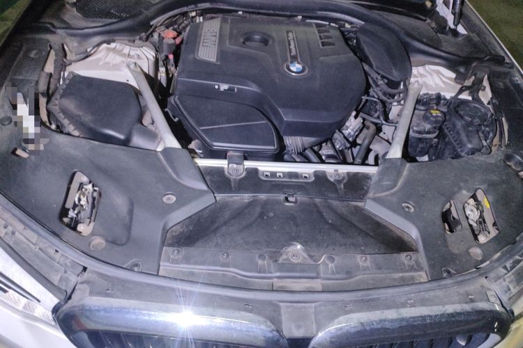 Used BMW 5 Series 2020 530Li Luxury Edition Premium Package Engine Bay