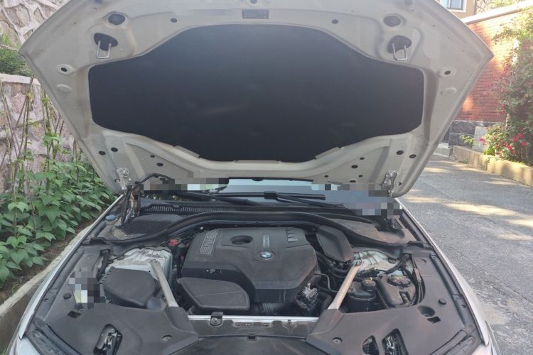 Used BMW 5 Series 2020 530Li Luxury Edition Premium Package Engine Bay