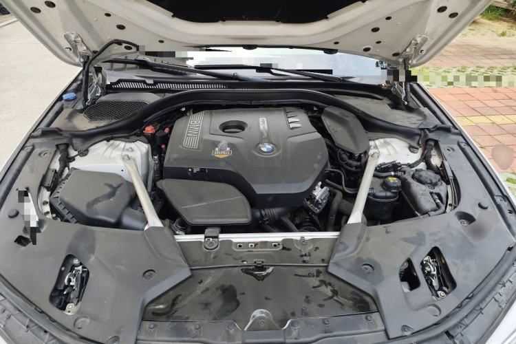 Used BMW 5 Series 2020 530Li Luxury Edition M Sport Package Engine Bay