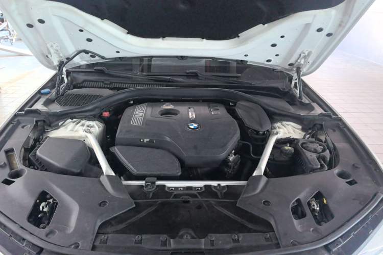 Used BMW 5 Series 2020 530Li xDrive M Sport Package Engine Bay