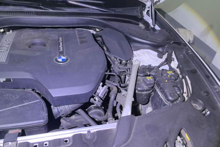 Used BMW 5 Series 2020 530Li Luxury Edition M Sport Package Engine Bay Left