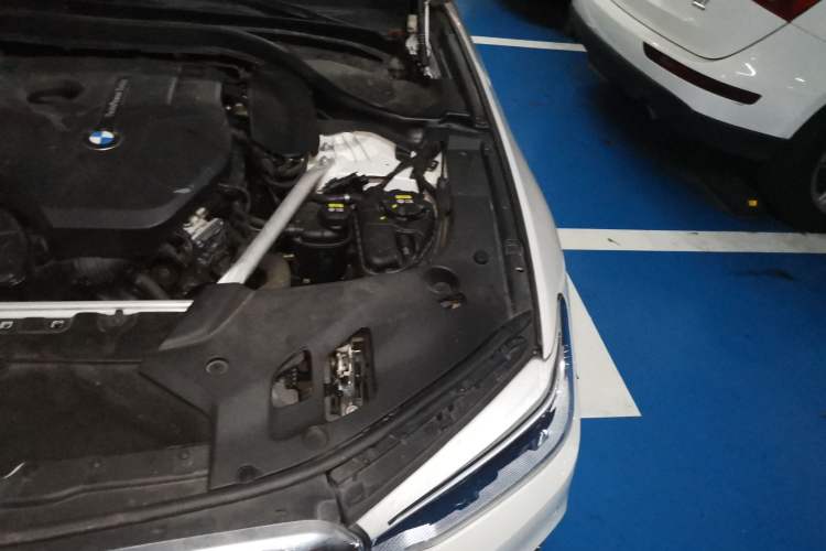 Used BMW 5 Series 2020 530Li Luxury Edition Premium Package Engine Bay Left