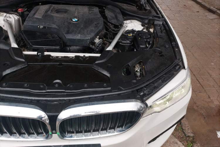 Used BMW 5 Series 2020 530Li Luxury Edition M Sport Package Engine Bay Left
