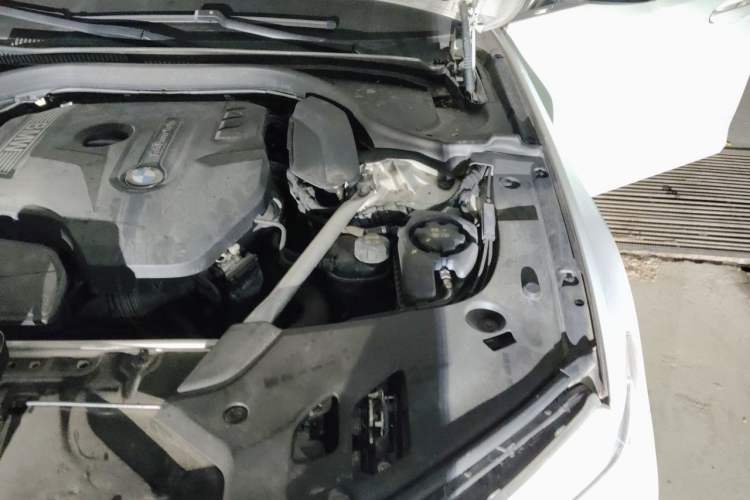 Used BMW 5 Series 2020 530Li Leading Edition Luxury Package Engine Bay Left