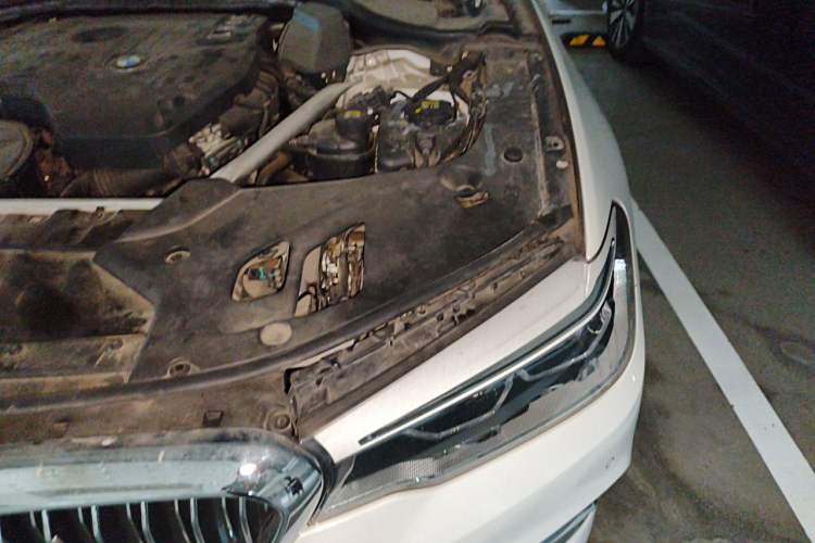 Used BMW 5 Series 2020 530Li Leading Edition Luxury Package Engine Bay Left