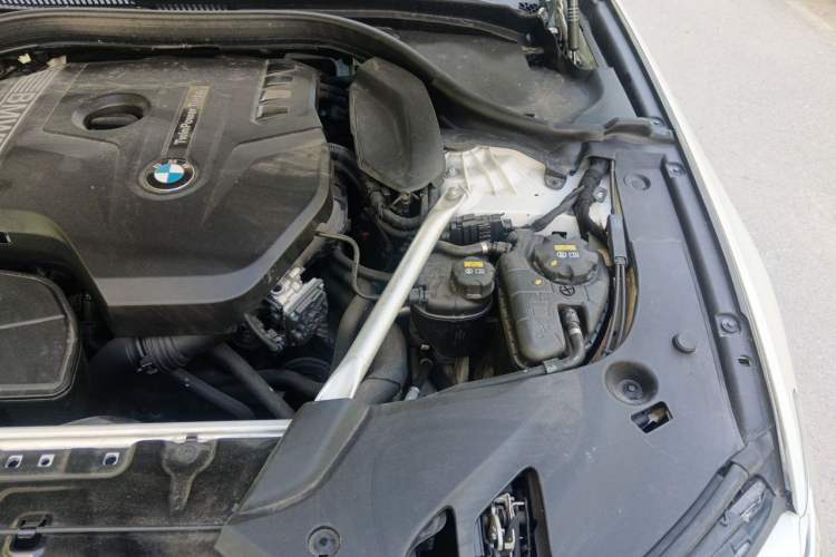Used BMW 5 Series 2020 530Li Luxury Edition Premium Package Engine Bay Left