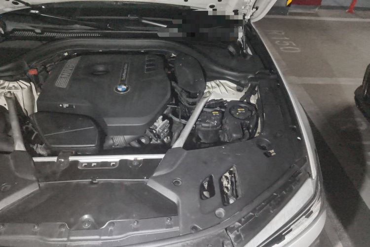 Used BMW 5 Series 2020 530Li Leading Edition Luxury Package Engine Bay Left