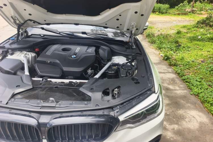 Used BMW 5 Series 2020 530Li Luxury Edition M Sport Package Engine Bay Left