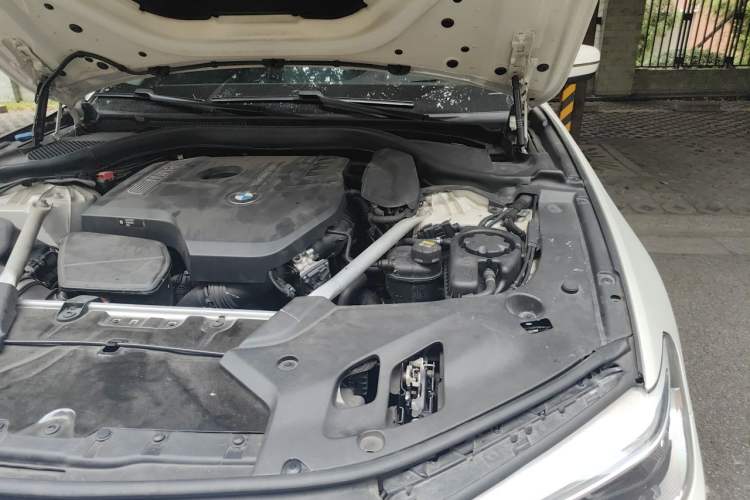 Used BMW 5 Series 2020 530Li Luxury Edition Premium Package Engine Bay Left