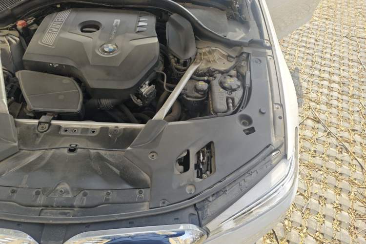 Used BMW 5 Series 2020 530Li xDrive Luxury Package Engine Bay Left